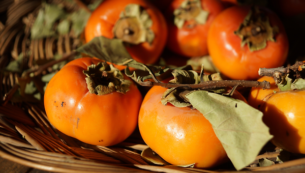 제때는 누가 알려주는 걸까