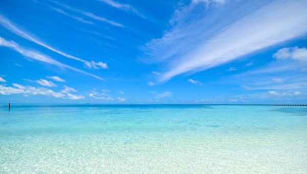 구글지도와 인공지능