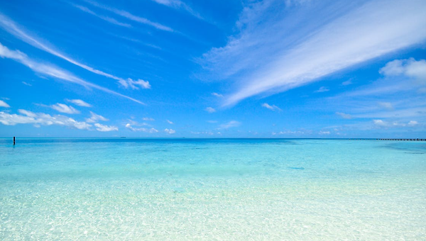 여행 떠나는 발걸음이 가볍다