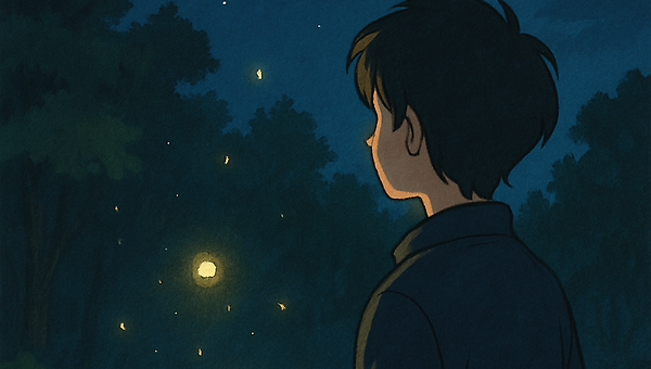 라이트파인더(lightfinder)