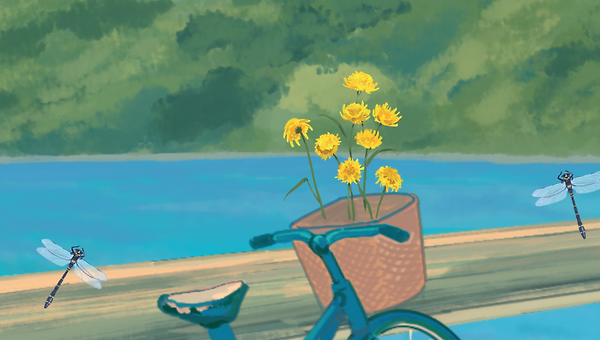 책과 함께 살아가는 일상의 행복