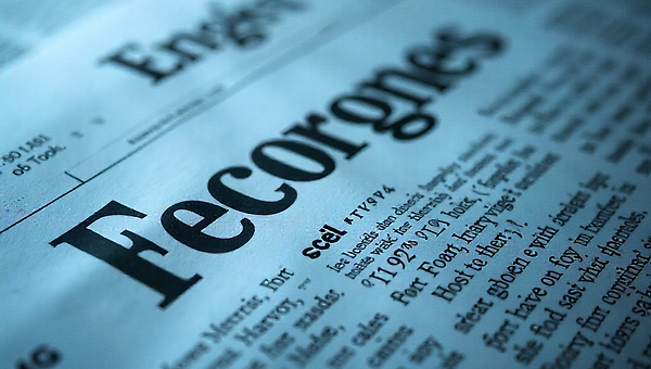 현실을 딛고 일어선 언론의 이상