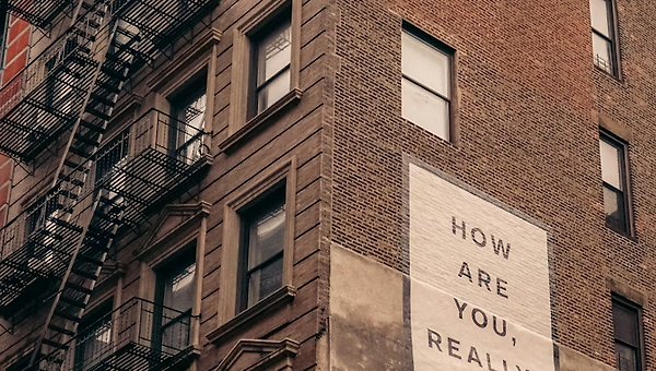 감정은 주파수다