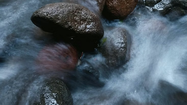 존재(Being)의 두 번째 단계: '허용의 법칙'