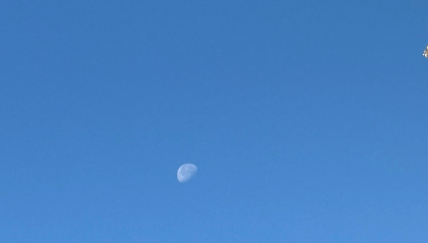 눈코 뜰 새 없이 찾아온 겨울