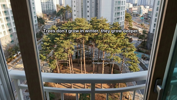 나무는 겨울에 자라지 않는다, 다만 깊어진다
