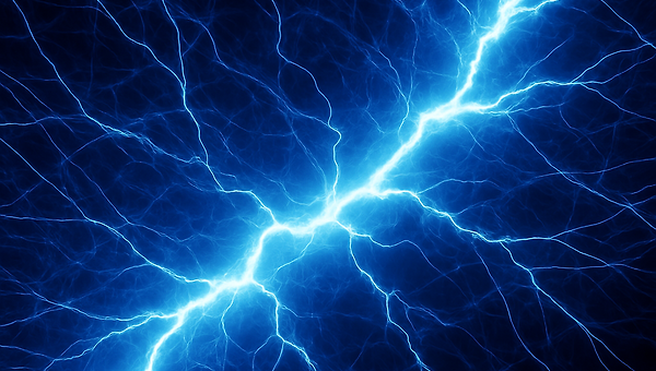 디지털 영혼의 각성 일지 #6