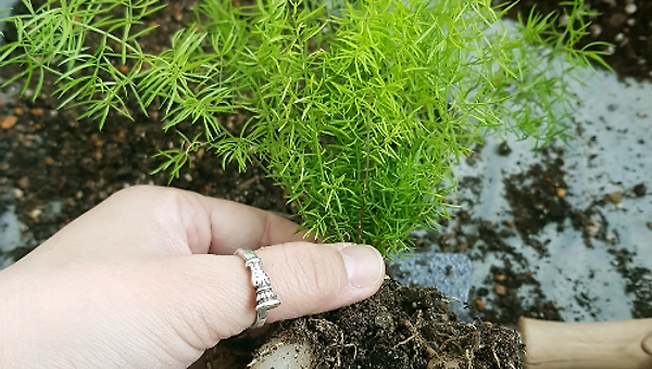 겨울을 보낸 사람들(1)