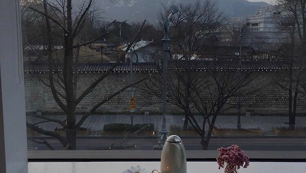 나의 삼월에게,