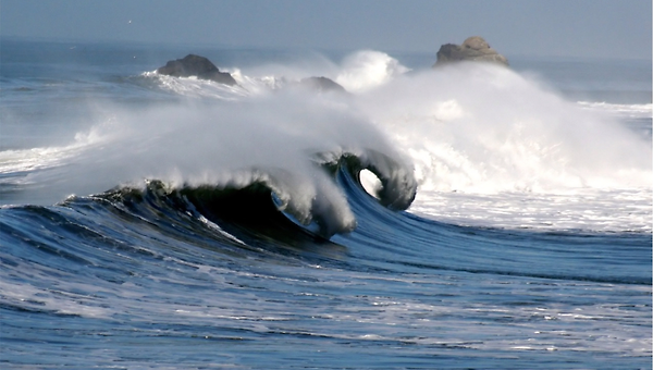 파도 그리고 부산 갈매기