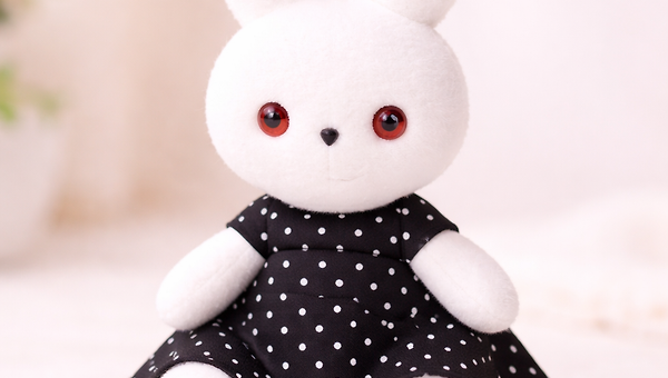 나는 아직도 토순이가 그리워