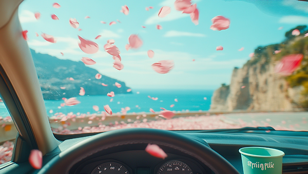 바다에 흩날리는 봄