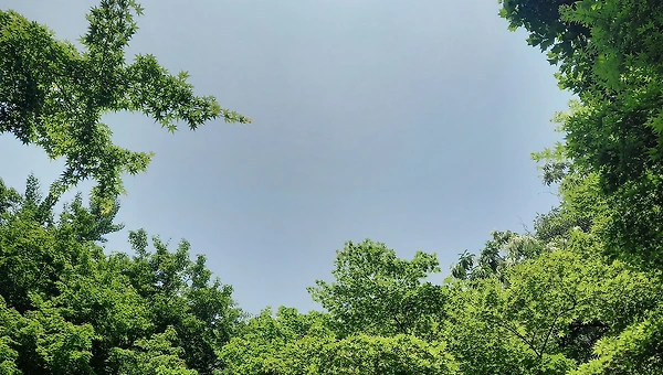 멈출 수가 없어요