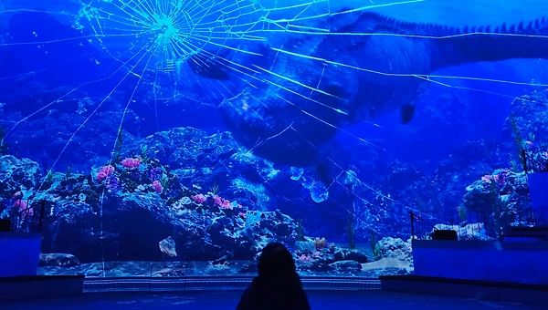 가까운 관계일수록 멀리서 쓰기