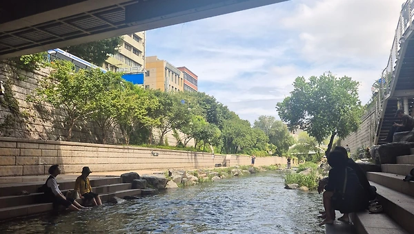 하지 말라는 것 투성인 세상