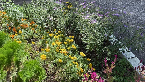 나보다 나의 취향을 더 잘 아는