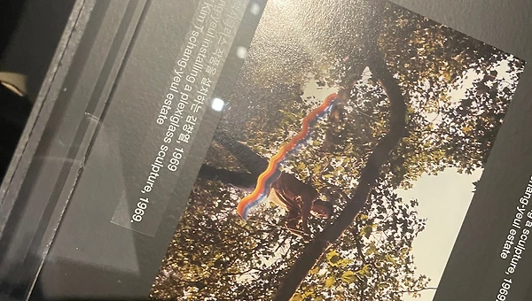 코리아 제체시온 ‘물방울 씨 김창열’