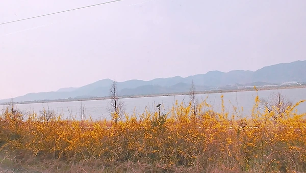 여행을 떠나요.