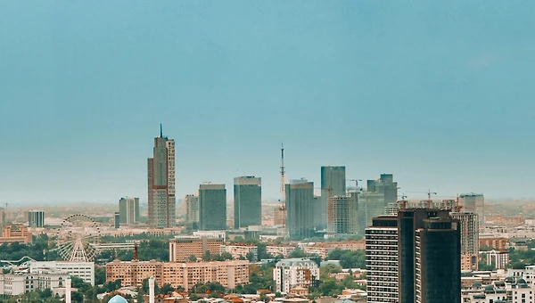 고려인 디아스포라의 역할: