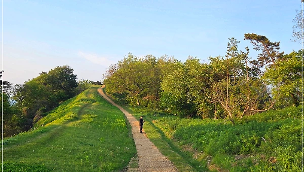 너무 흔해빠져도 아픈 건 아프다 