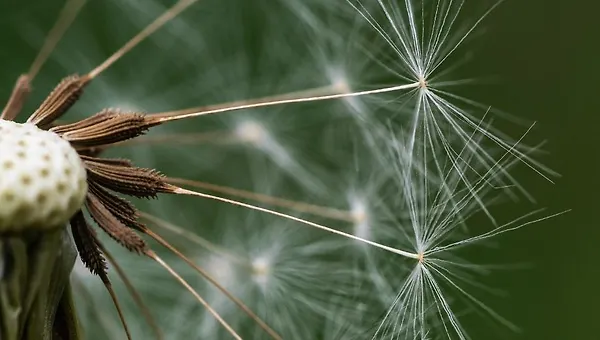 소프트웨어 버튼 사용하기