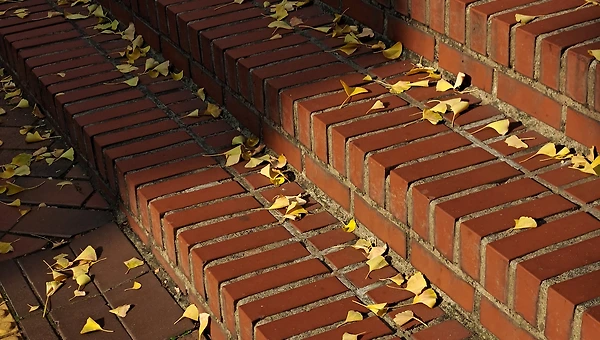 순례자는 감사한다