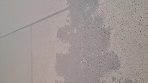 마취 없는 수술