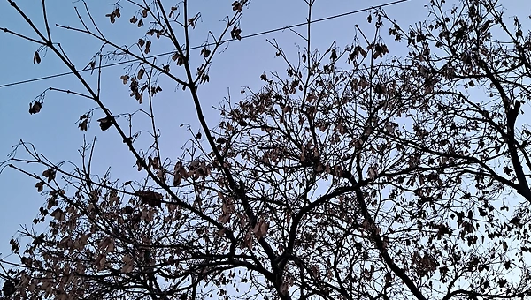 거꾸로 걸려있는 액자 속 그리움