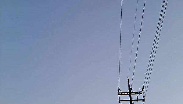 타자는 실체가 아닌 현상