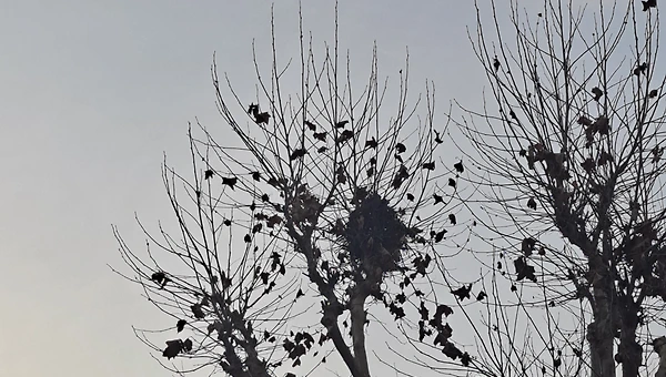 소한에서 대한까지