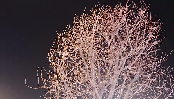 사람 속 사람 사이에서 사는