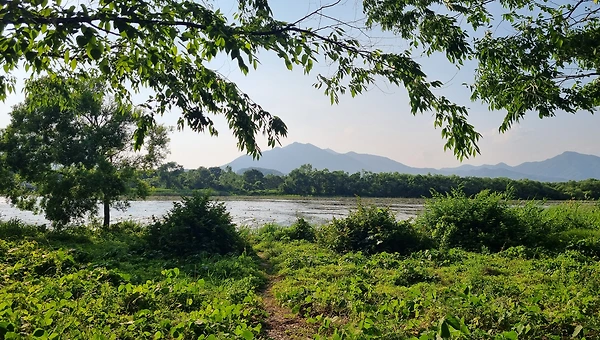 인간 탐욕의 유래