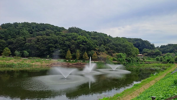 다윈에게 묻고 싶은 세 가지 질문 