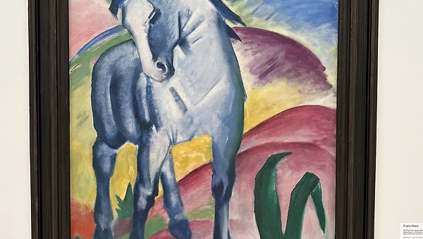 한국에서의 한 달 : 소원이 말한 대로 이루어진다면