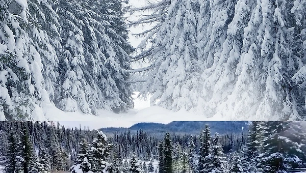 음악이 있는 브런치타임 