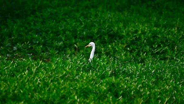 마지막 질문: 내 생각은 나의 것인가?