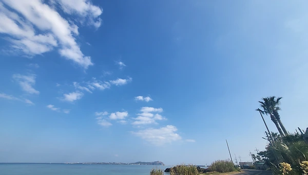 [은유의 힘]은 나아갈 방향을 보여준다