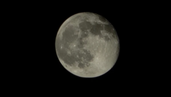 우리들의 명절 블루스 2