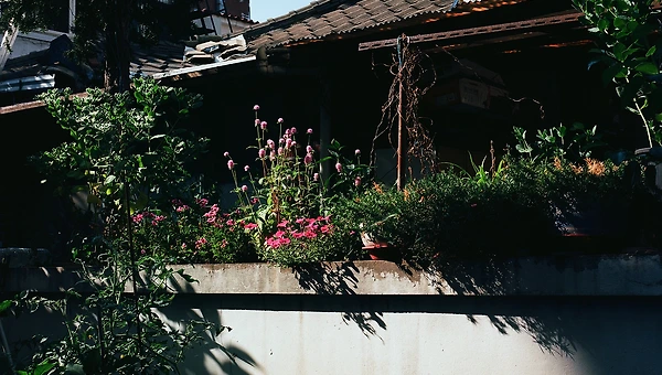 증산동 그리고 응암동