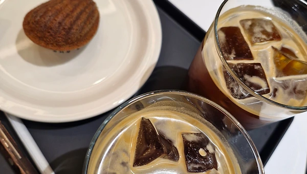 태도, 인상의 옷을 입다