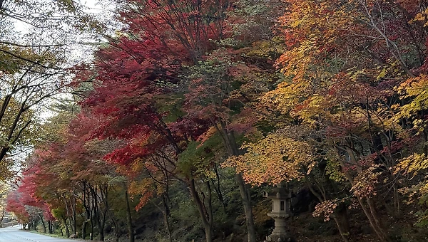 차근차근 올라가다