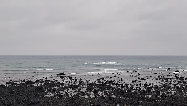 AI 시대에 필요한 것은 실체 있는 나다