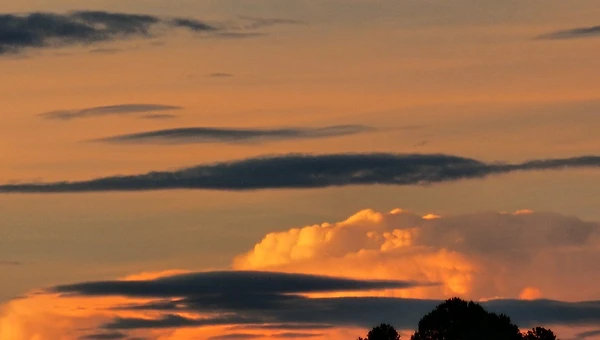 깨진 조각이 모은 세계