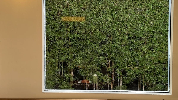 3베드룸 빌라를 선뜻 내어준 호주남자와 테니스를 치다