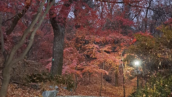 명문대 수시 논술 합격