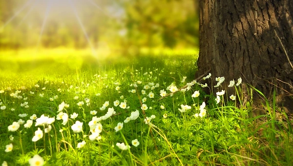 매일 읽고 쓰고 달립니다.