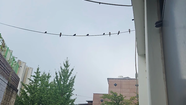 매일 읽고 쓰고 달립니다.