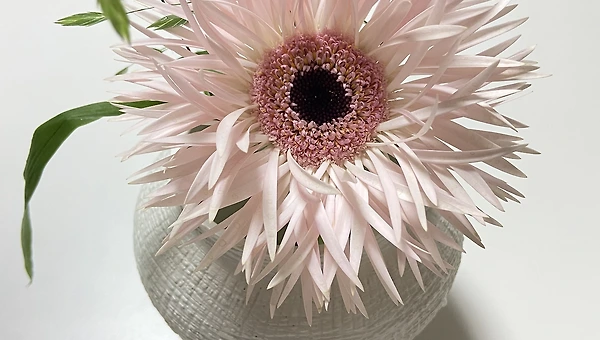 (나이) x0.8세의 라이프스타일로 살아봐요!