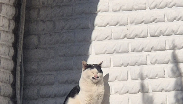 앞으로의 숙제는... 다이어트입니다.