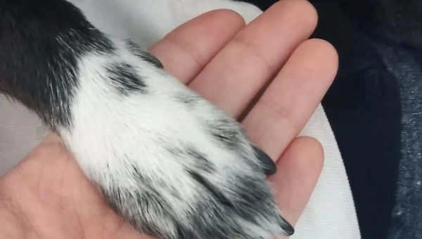 엑셀의 달인이 되는 방법